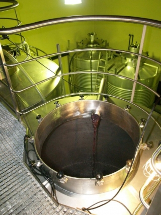 relizacion del vino